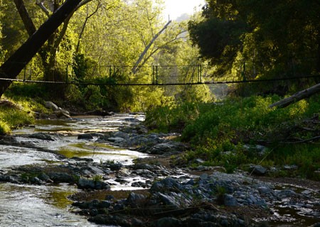 Image of De Luz Swing Bridge and Rural Creek